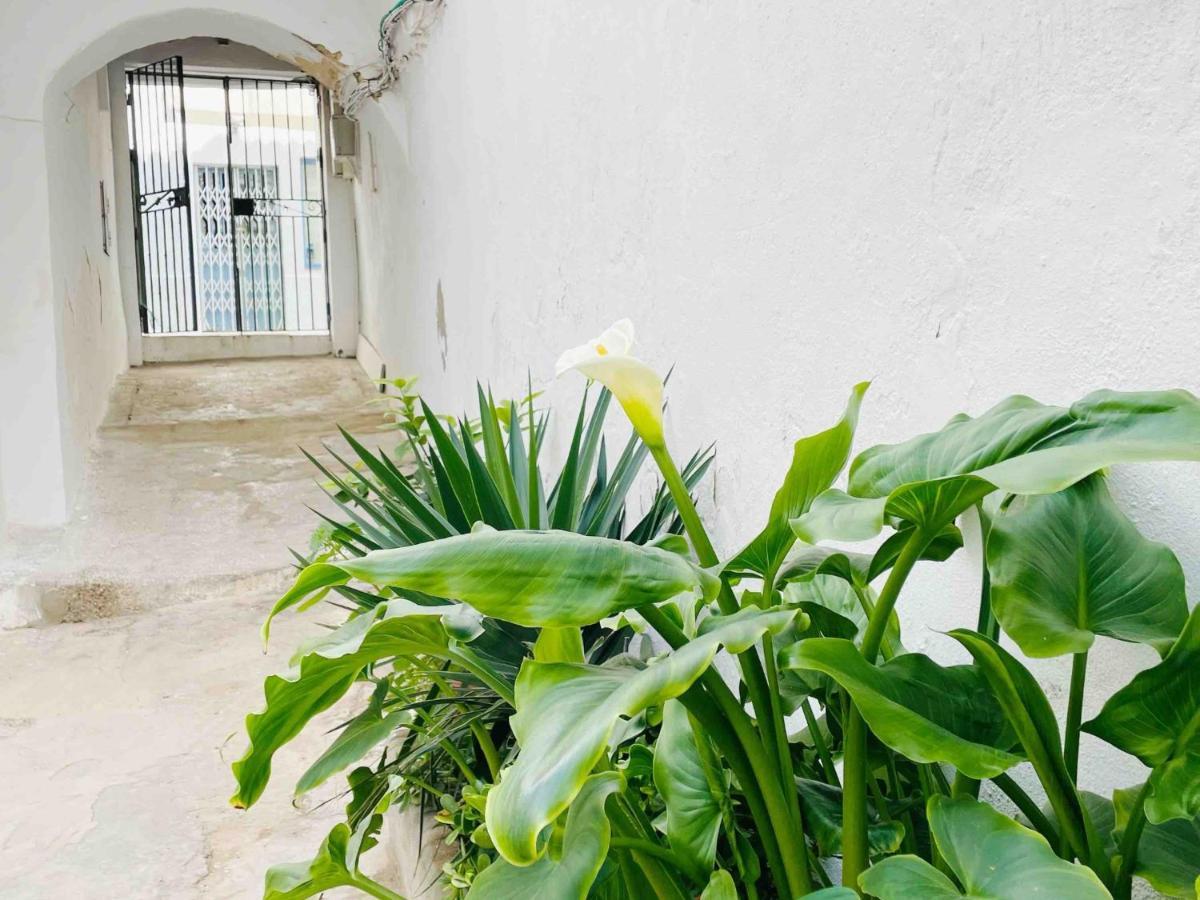Apartamento Alazul Campillo コニル・デ・ラ・フロンテラ エクステリア 写真